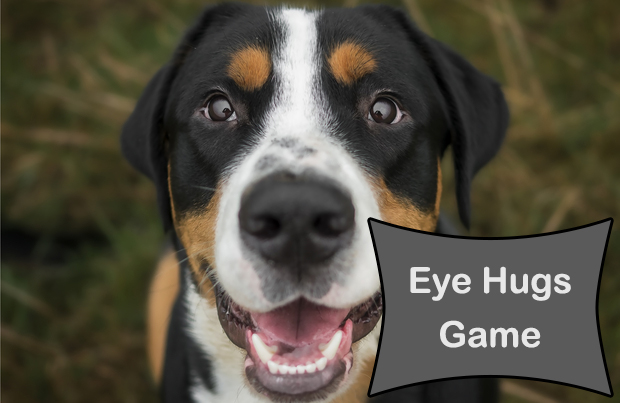 Dog playing the "eye hugs" game. This helps prevent canine cabin fever.